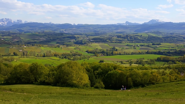 a view of a valley with a mountain in the background