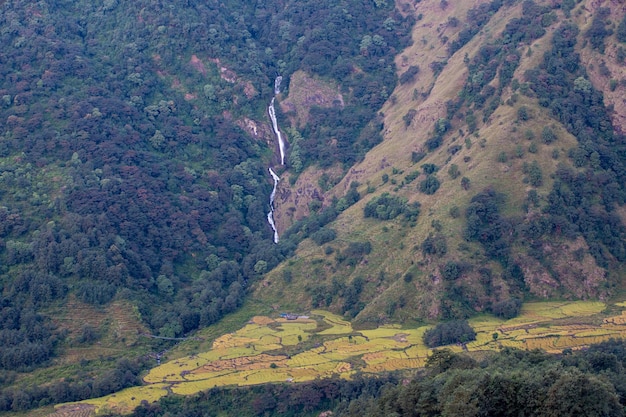 A view of a valley with a waterfall in the background