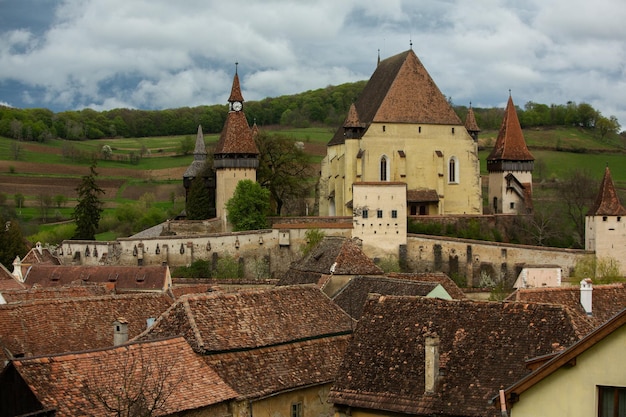 A view of a village with a castle in the background