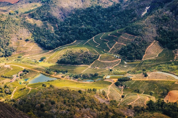 Photo a view of the vineyards from the top of the hill