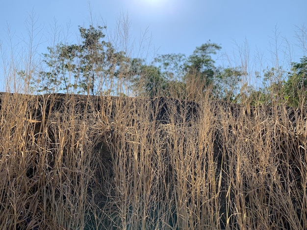 Photo the view of the water in the dam during the dry season with its rocks is very beautiful