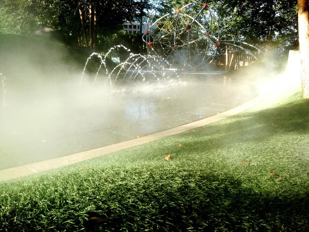 Foto vista dell'acqua che spruzza sull'albero