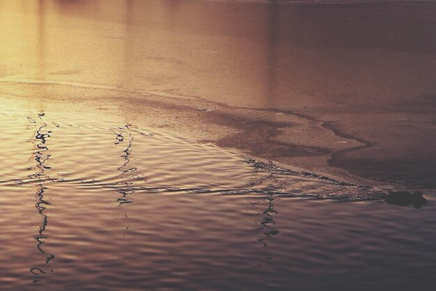 水の中の水の景色