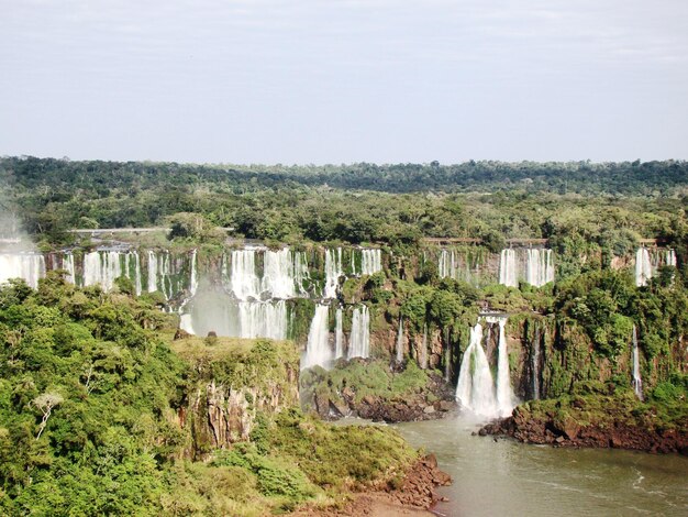 View of waterfall along trees