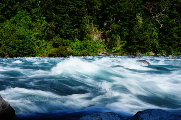 Photo view of waterfall along trees