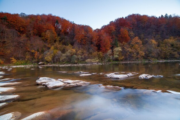 View of the waterfall in autumn Waterfall in autumn colors Mountain river in the autumn landscape Ukraine river Stryj