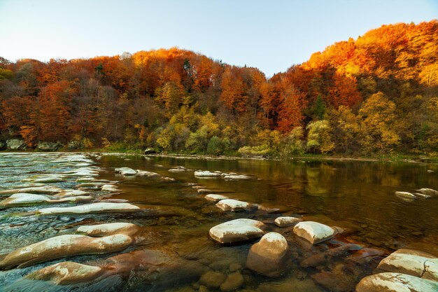 View of the waterfall in autumn Waterfall in autumn colors Mountain river in the autumn landscape Ukraine river Stryj