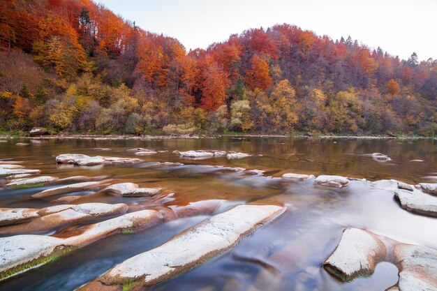 View of the waterfall in autumn Waterfall in autumn colors Mountain river in the autumn landscape Ukraine river Stryj