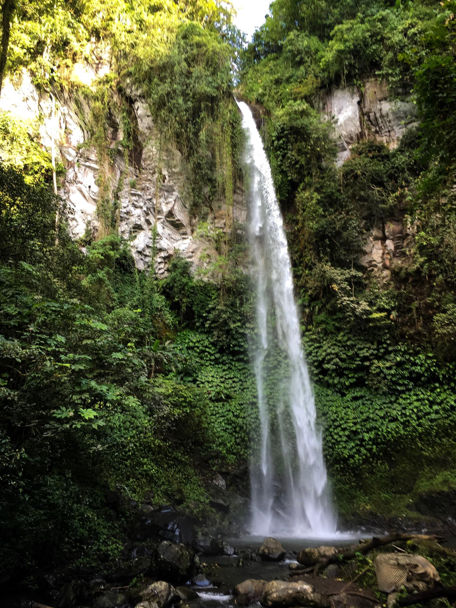 Foto vista di una cascata nella foresta