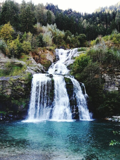 View of waterfall in forest