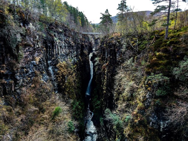 Foto vista di una cascata nella foresta