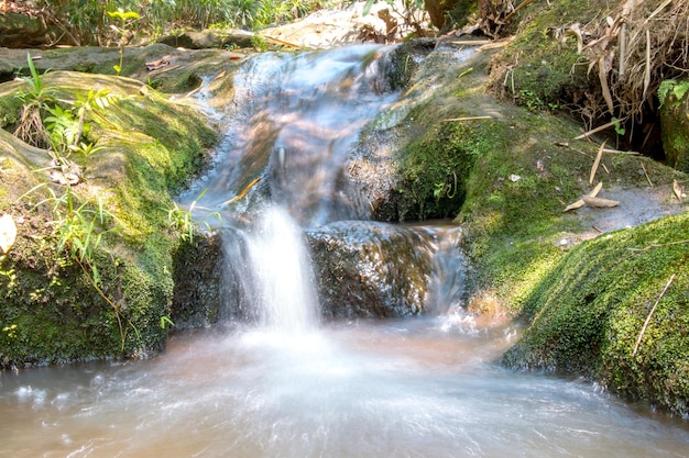 View of waterfall in forest