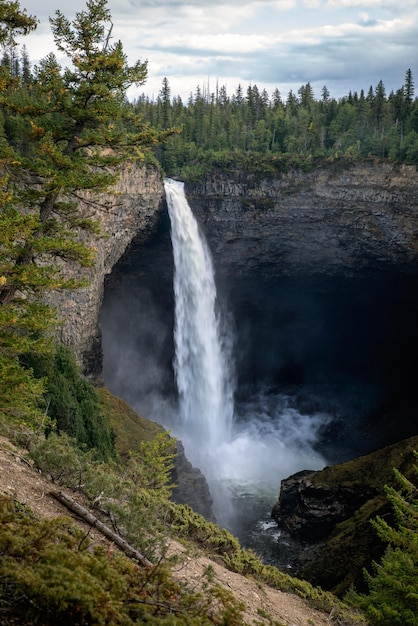 Foto vista di una cascata nella foresta