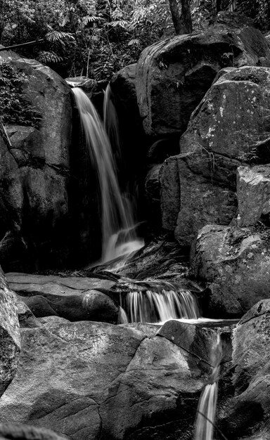 View of waterfall in forest