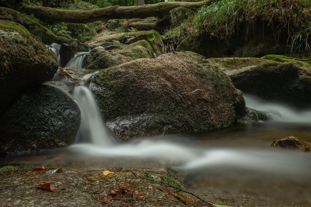 View of waterfall in forest