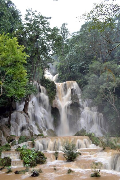 Foto vista di una cascata nella foresta