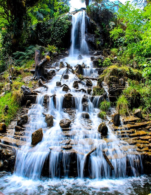 Foto vista di una cascata nella foresta