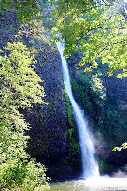 Foto vista di una cascata nella foresta