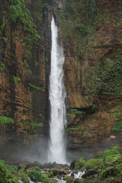 Foto vista di una cascata nella foresta