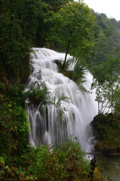 View of waterfall in forest