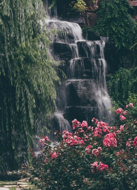 Foto la vista della cascata nel parco