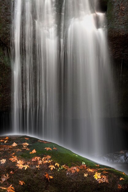 Foto vista della cascata