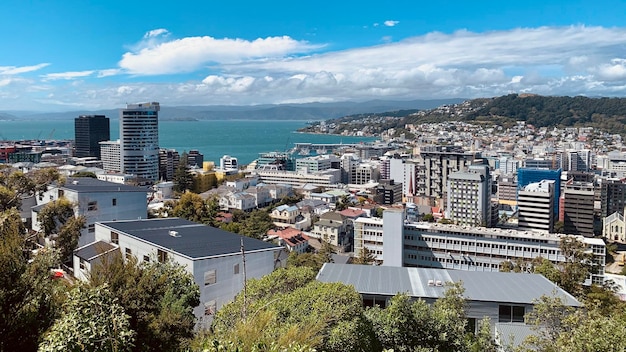 Photo a view of wellington city from the hill