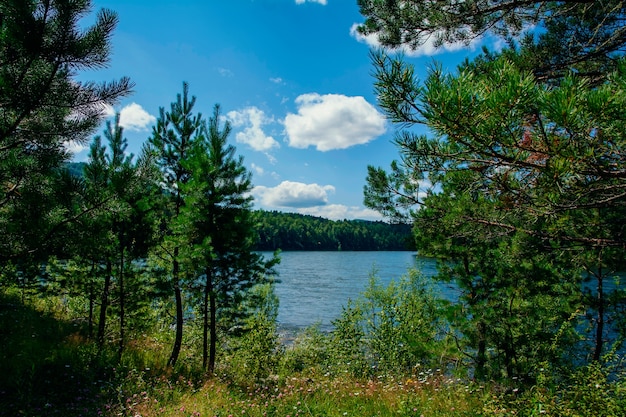 View of a wide mountain river in summer