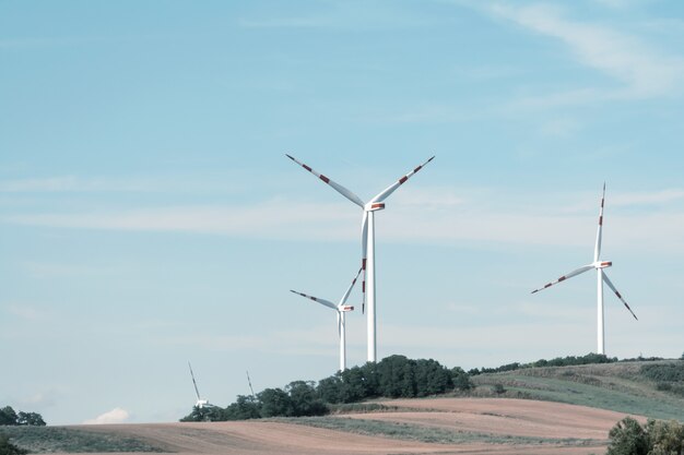 View of a wind power plant on a background of blue sky and fields with grain crops.