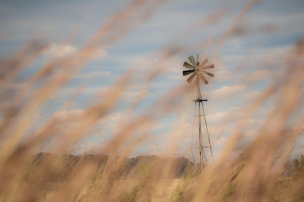 Photo view of wind turbine in field