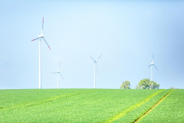 View of wind turbines and agricultural field