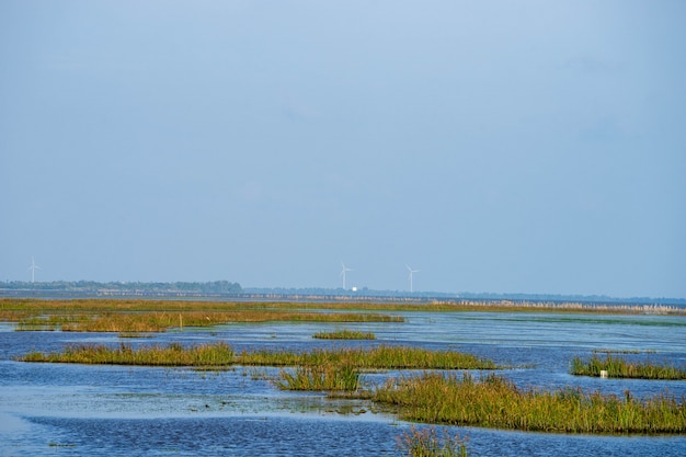 View of wind turbines from the distance from the lake with blue sky.