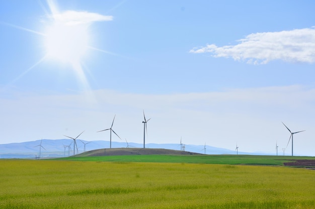 Foto vista delle turbine eoliche dal campo di grano con cielo sereno