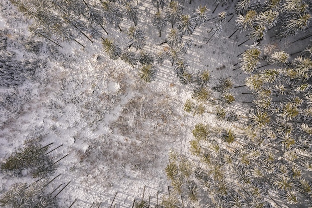 view of a winter forest at sunset, drone shot