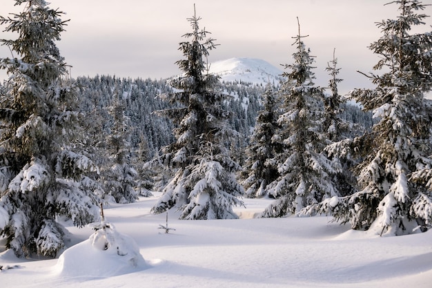 View of a winter mountain landscape of Krkonose National Park Czech Republic with famous mountain