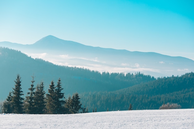 Photo view of winter snowed mountains copy space