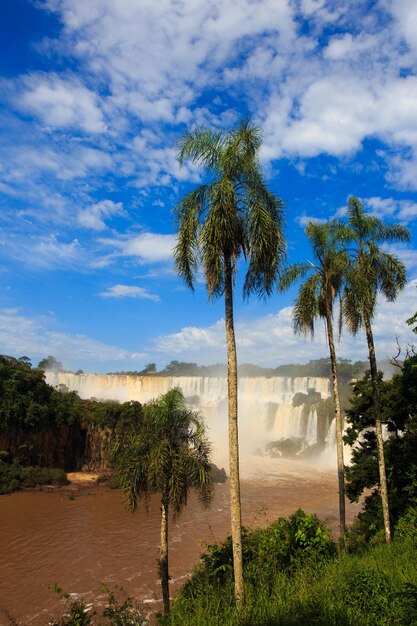 世界的に有名なイグアスの滝の眺めは、ブラジルとアルゼンチンの国境にあります