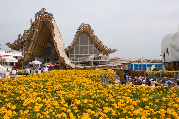 View of yellow flowers