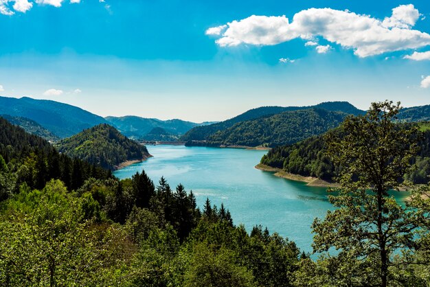 View at Zaovine lake in Serbia