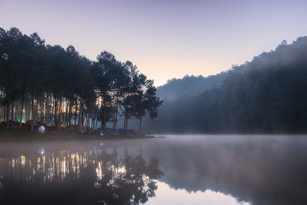 Viewpoint pine forest on foggy reservoir