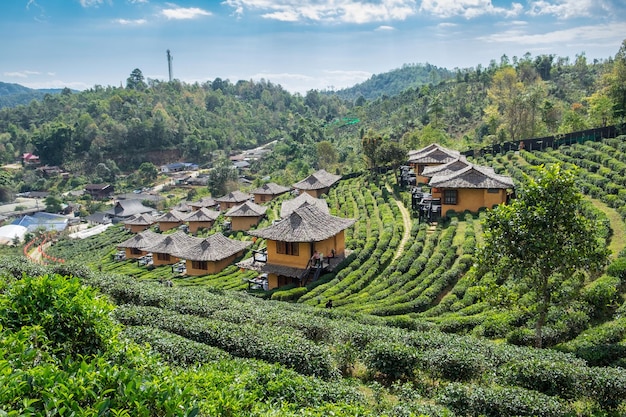 Viewpoint resort aarden huis in theeplantage bij Lee Wine Ban Rak Thai