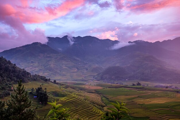 Viewpoint of rice field terraced and mountain at colorful sunset