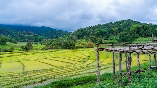 Viewpoint With Mountain Rice Field