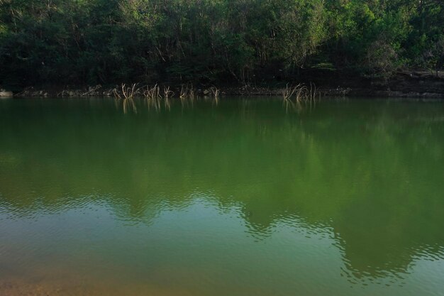 views of clear water lakes mountains and trees