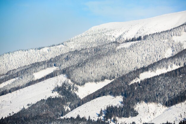 Views from city liptovsky mikulas to west tatras in winter time with snowy trees and cloudy sky