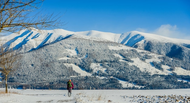 Views from city Liptovsky Mikulas to West Tatras in winter time with snowy trees  and cloudy sky.