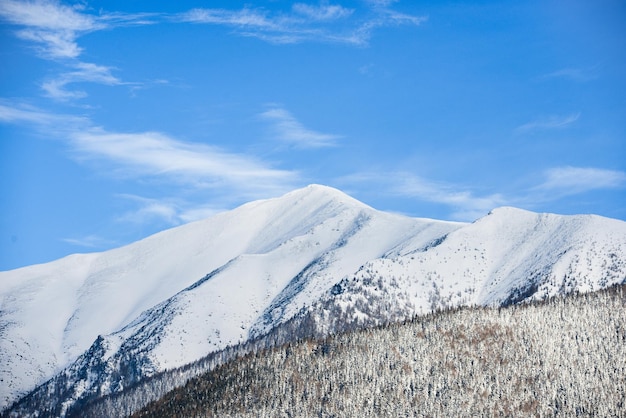 雪に覆われた木々と曇り空を持つ、冬のリプトフスキー・ミクラスから西タトラまでの景色。