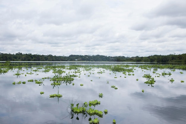 Views from the Cuipari Lake in Peruvian Jungle