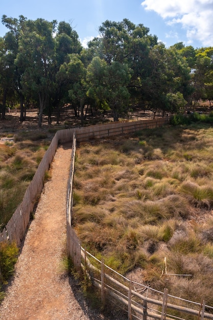 Views from the viewpoint of the Lagunas de la Mata Natural Park in Torrevieja Alicante