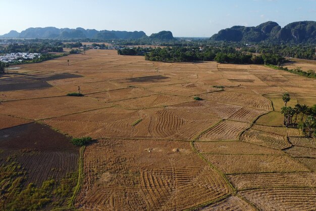 views of harvested villages and farms